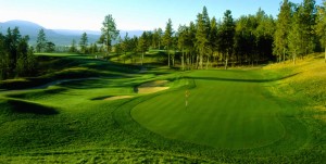 golfCourse_gallery1